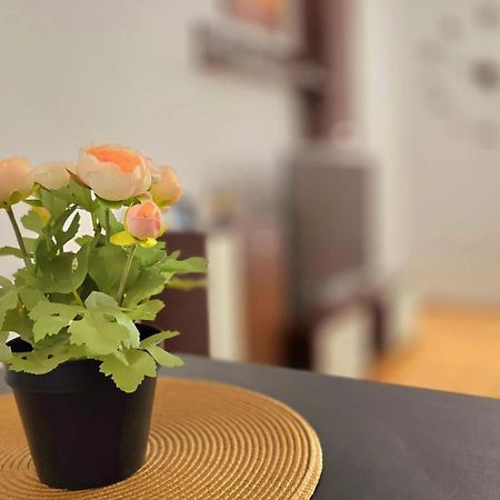Apartament Confort Hd Hunedoara Eksteriør billede