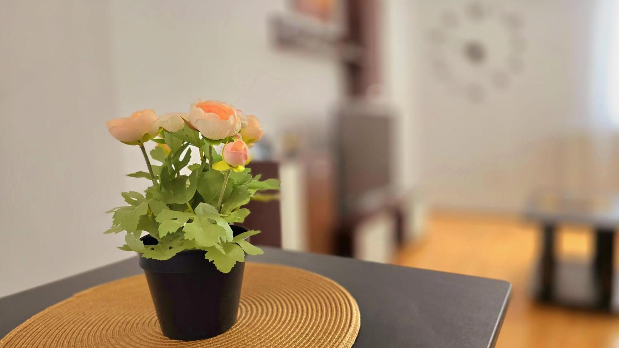 Apartament Confort Hd Hunedoara Eksteriør billede